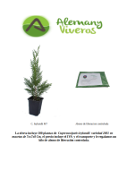 oferta leylandii m7 2001 200626